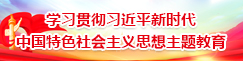 学习贯彻*新时代中国特色社会主义思想主题教育